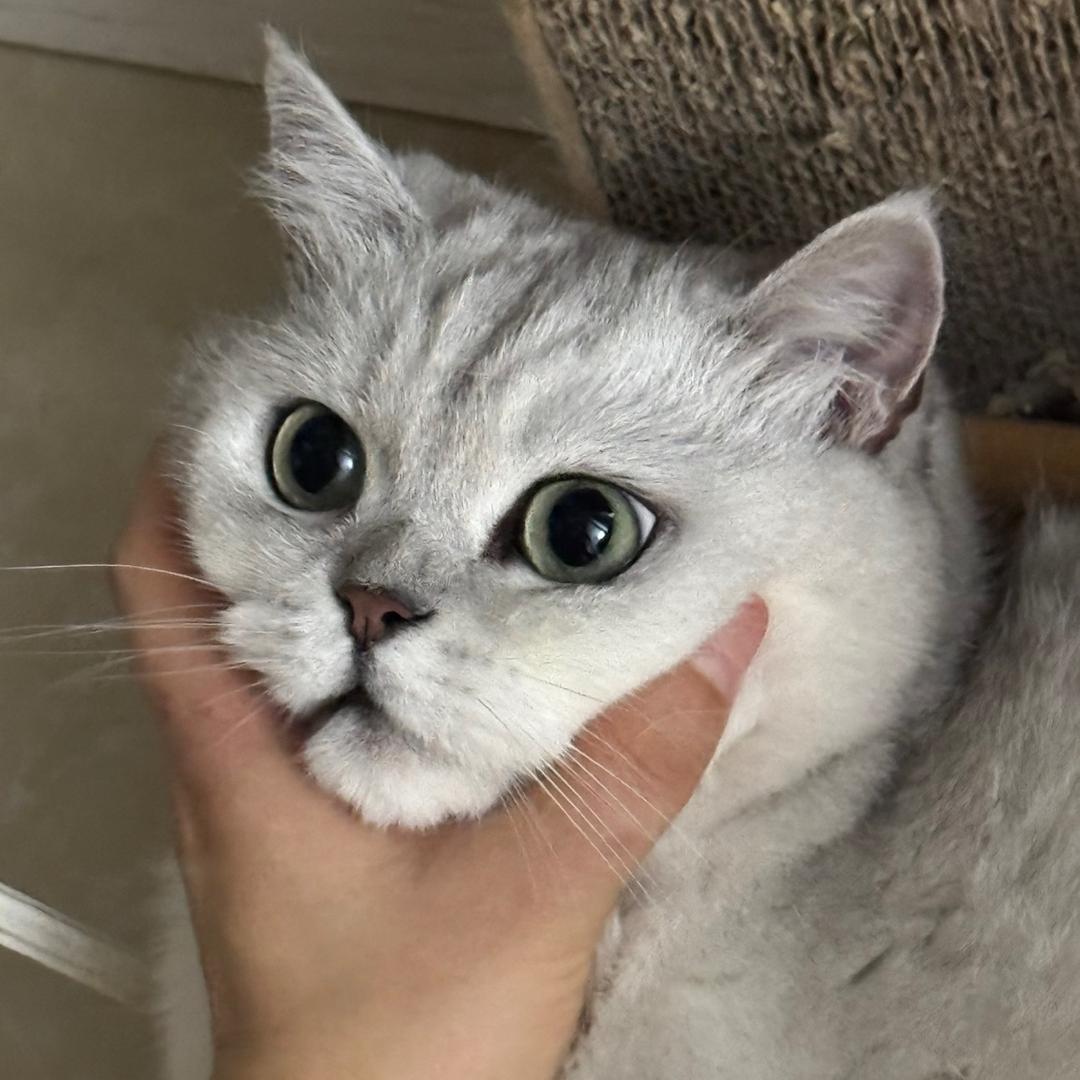 露叽说没有我真的不行😘