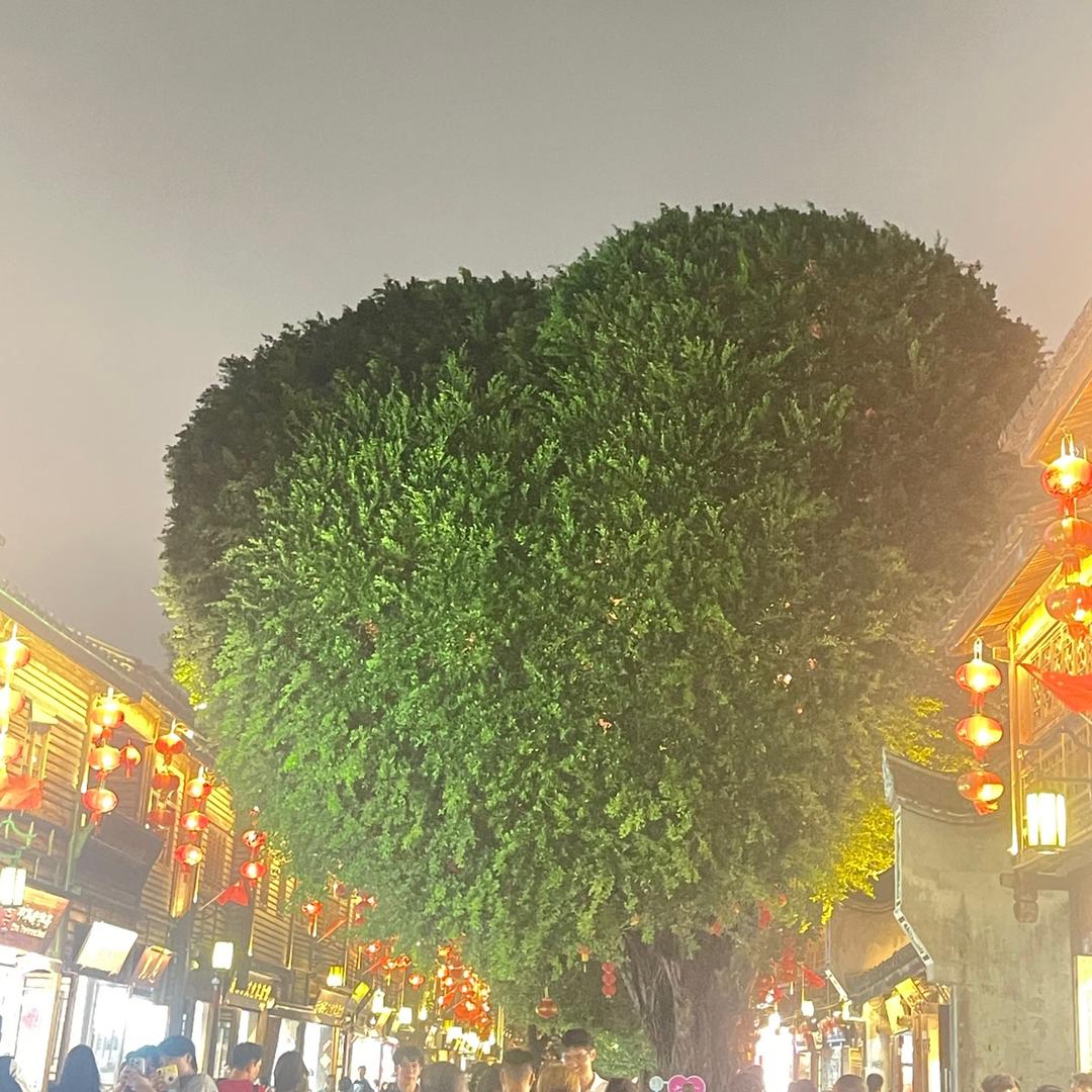 一只小狐狸（王者荣耀）