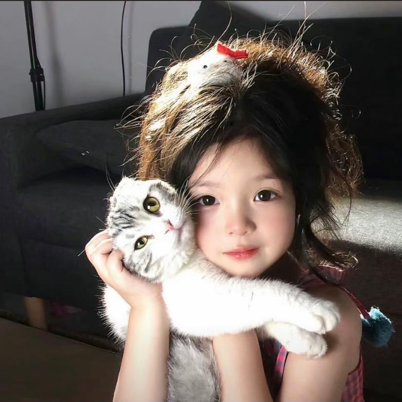小猫双皮奶