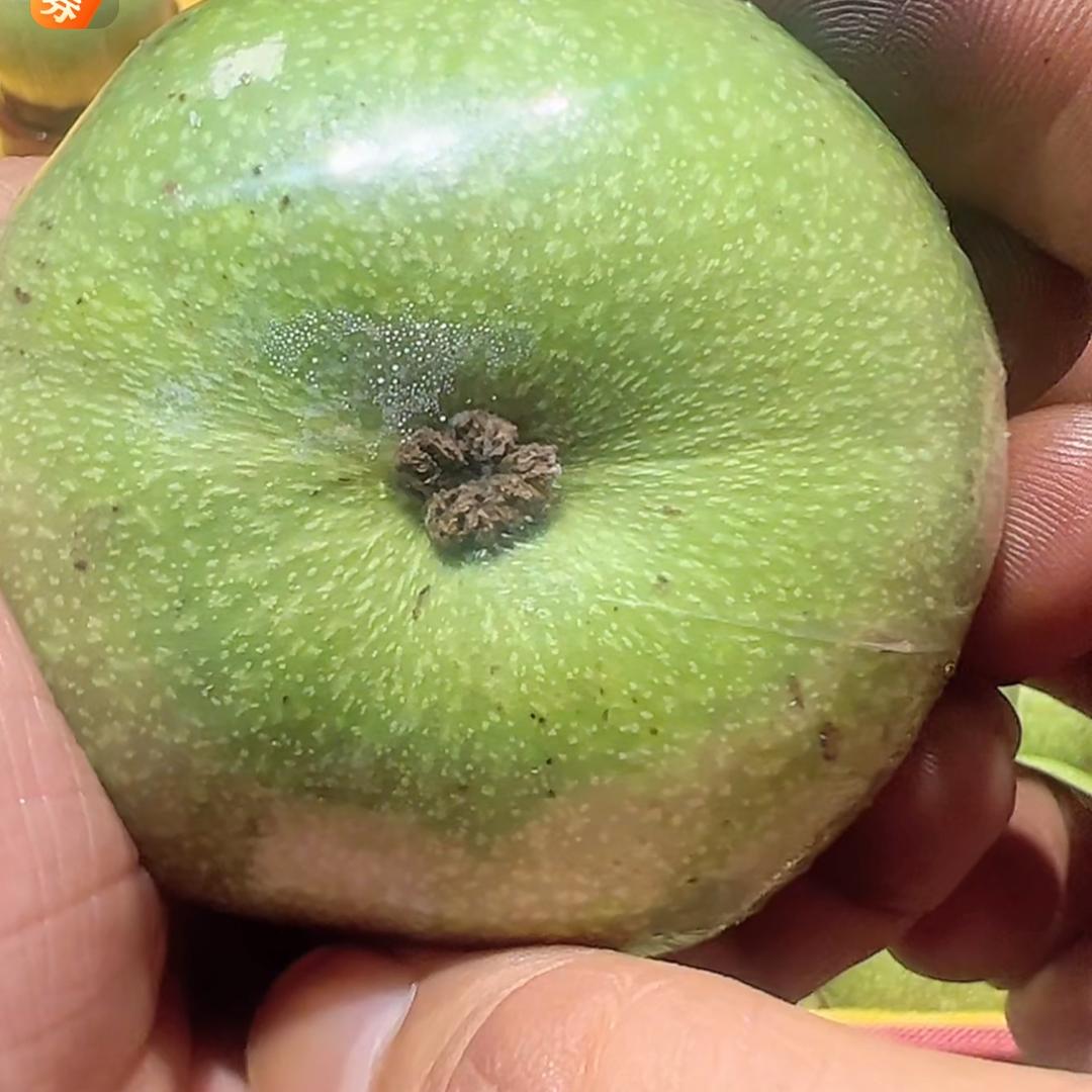 看看