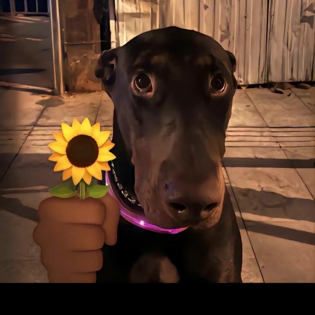 @҈҉҈҉҈҉҈҉҈҉҈҉