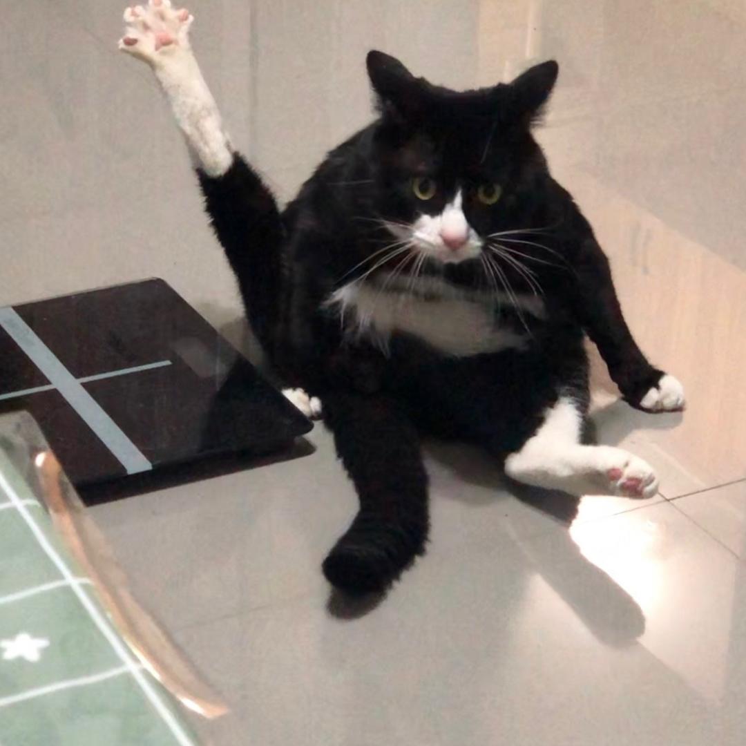 红红火火恍恍惚惚