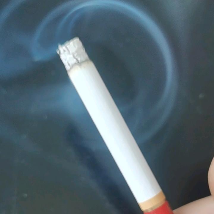 雨天的太阳☀️