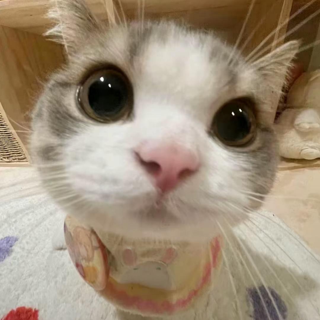 今晚一定要早睡^