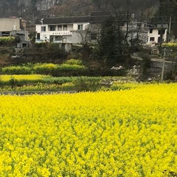 妍妍喜欢唱歌