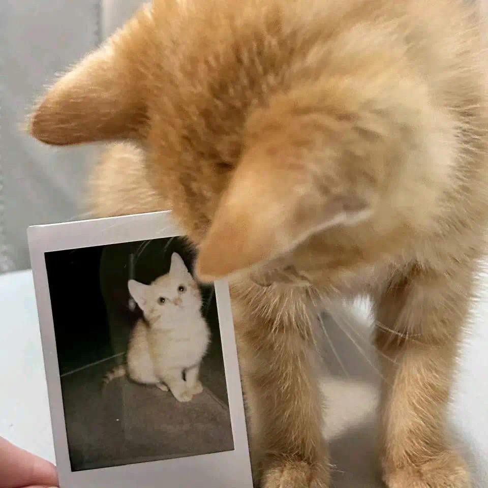 49639340425