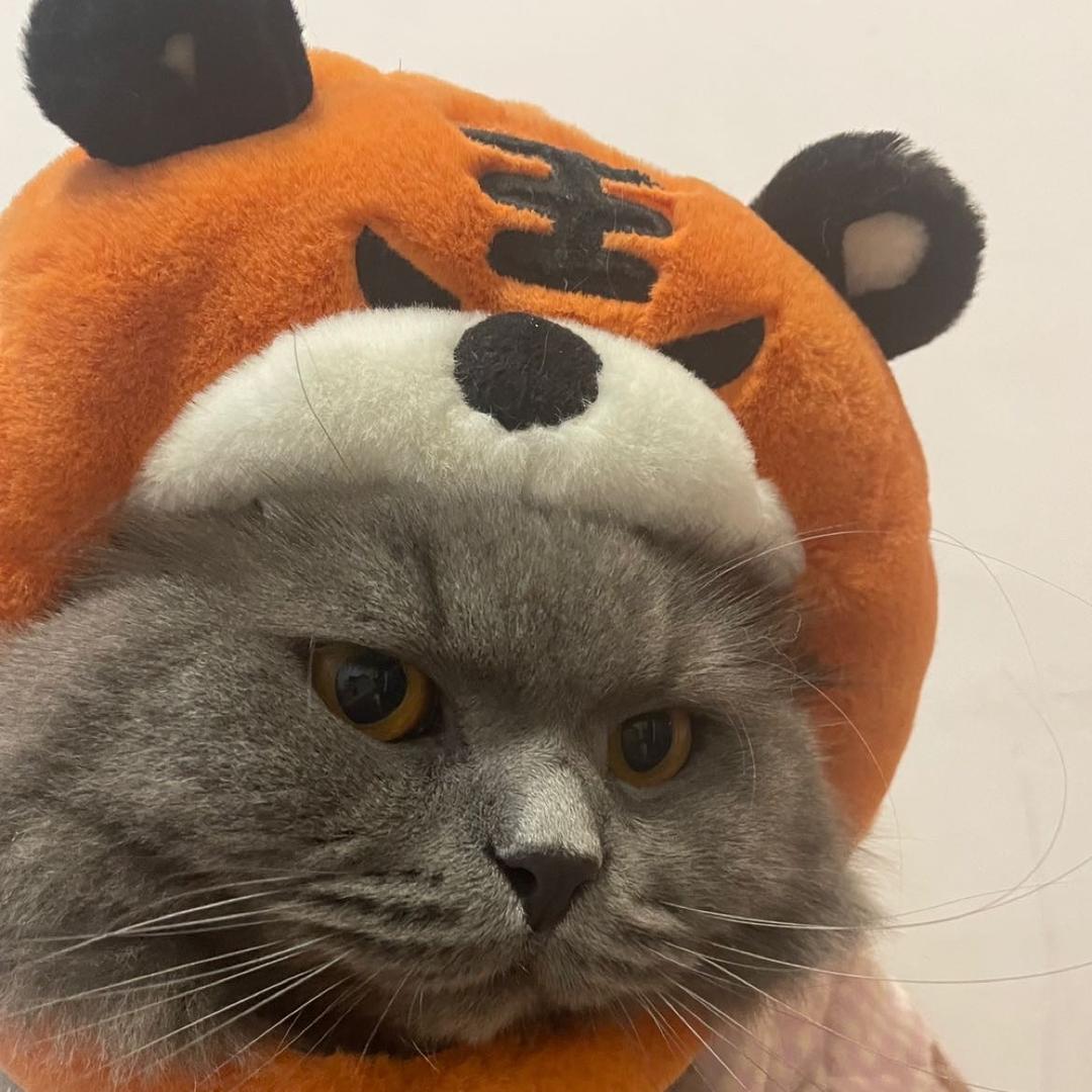 麦恩莉的方大同