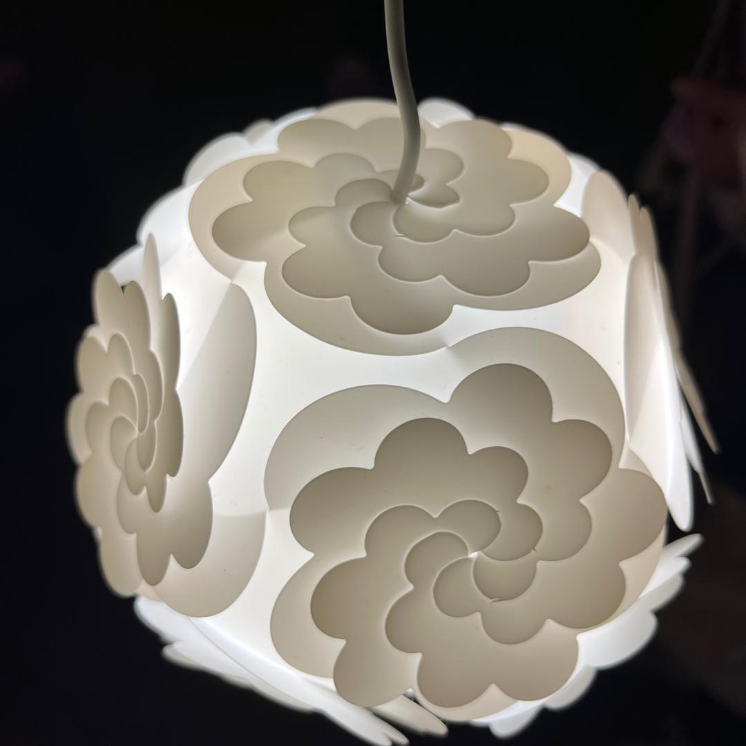 凤凰于飞，冉冉升起