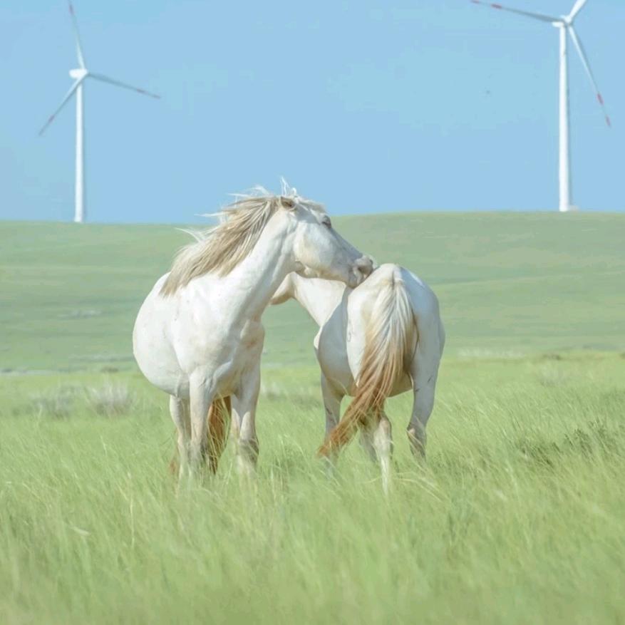 不想说，就这样静静的看着