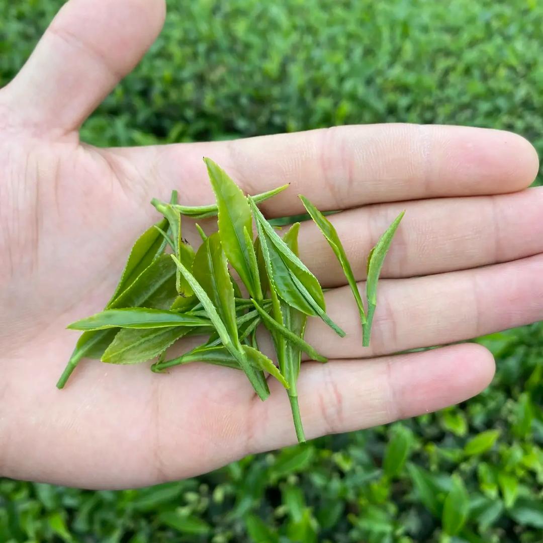 小肖