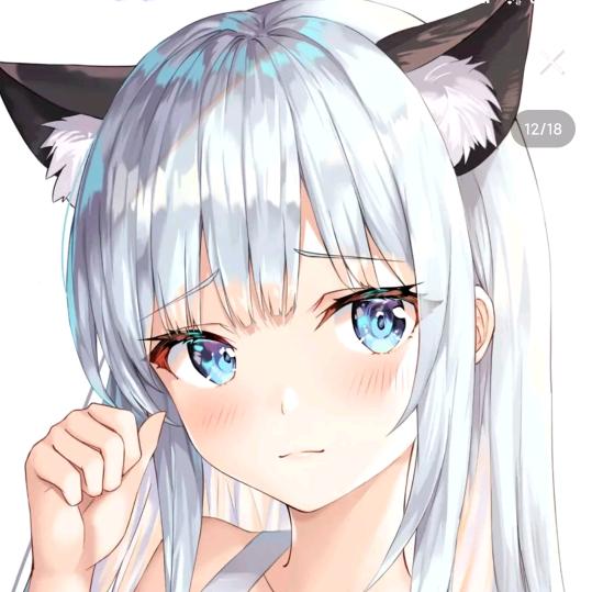 欣宝