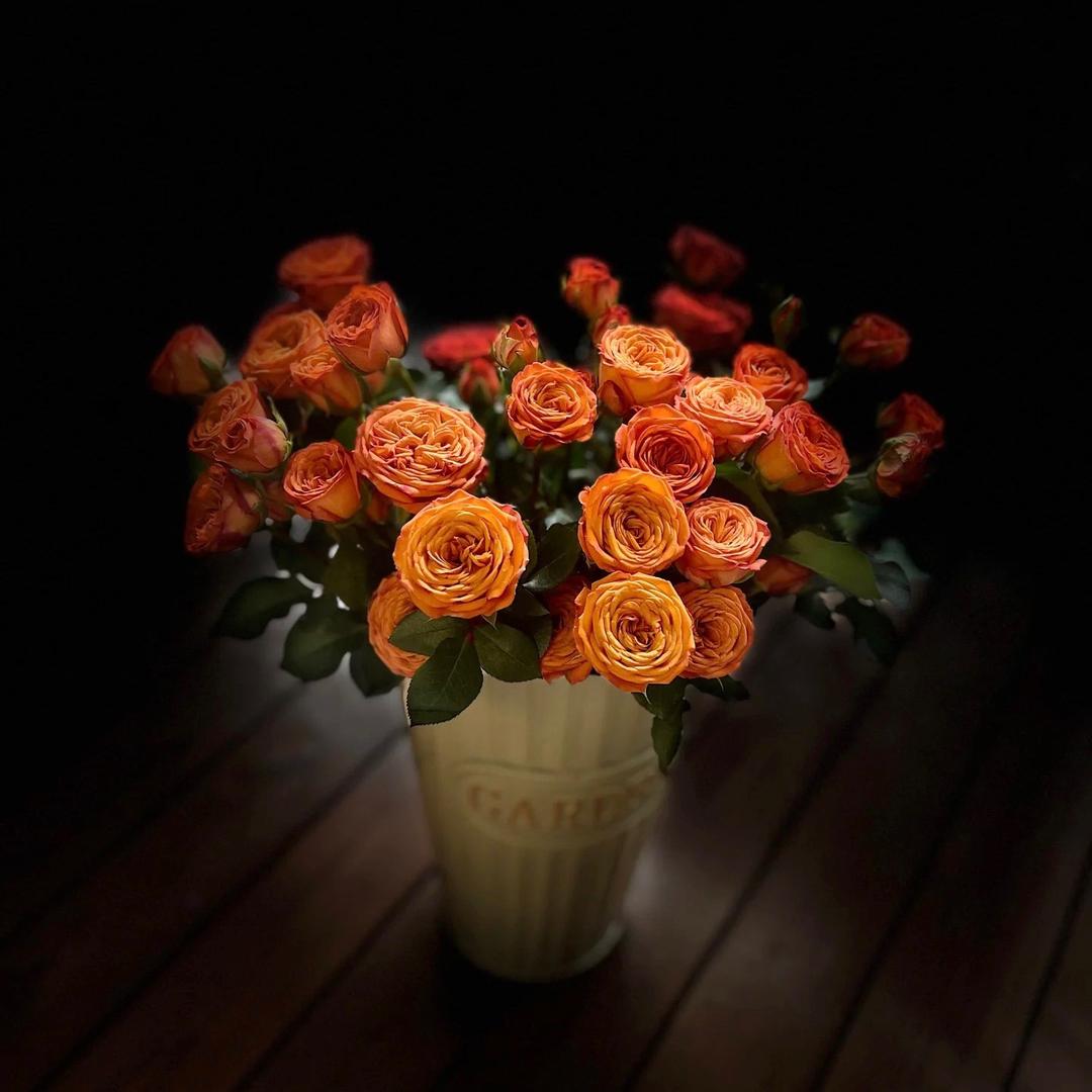 花斗兴达