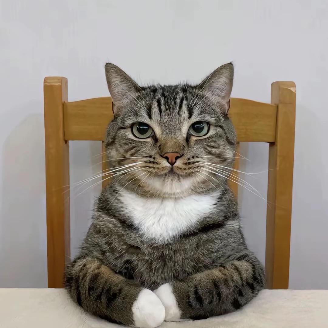 算了(三角洲跑刀)