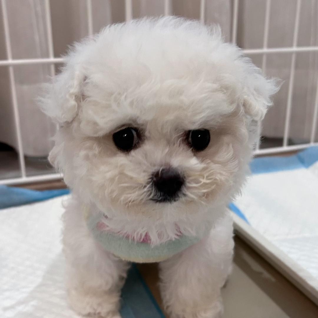 5分钱特效
