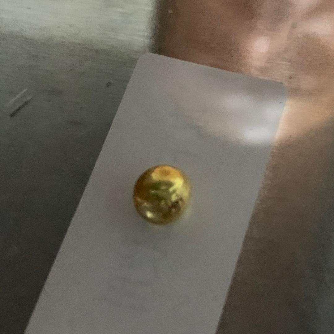 寻金猎人