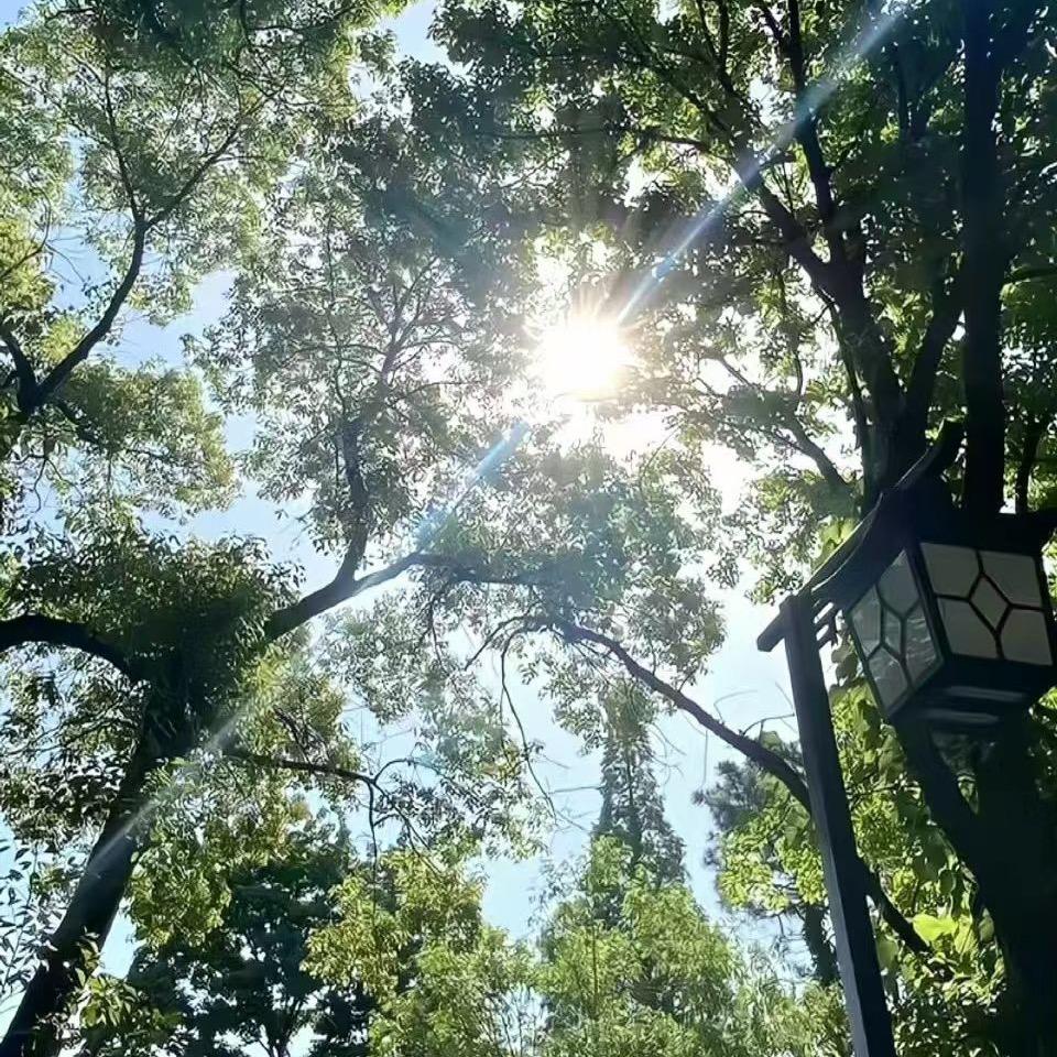 阿