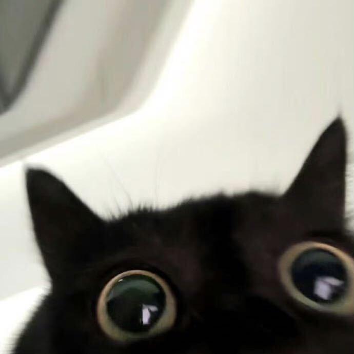 年年（六个月内被别人撞了4次的小米车主)