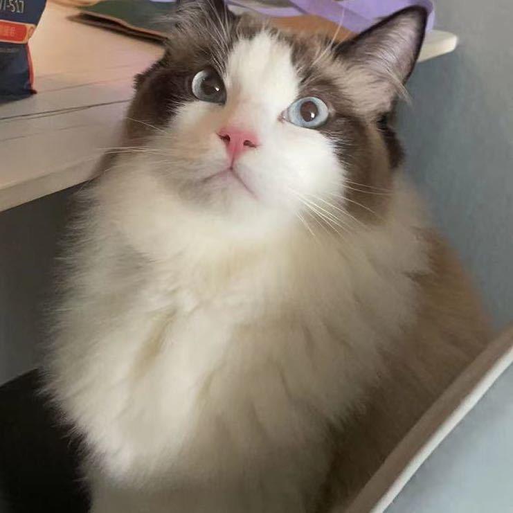 唯坤