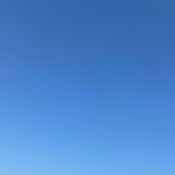 何以笙箫