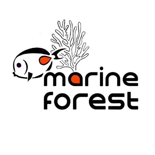 南京海洋森林海水生物超市