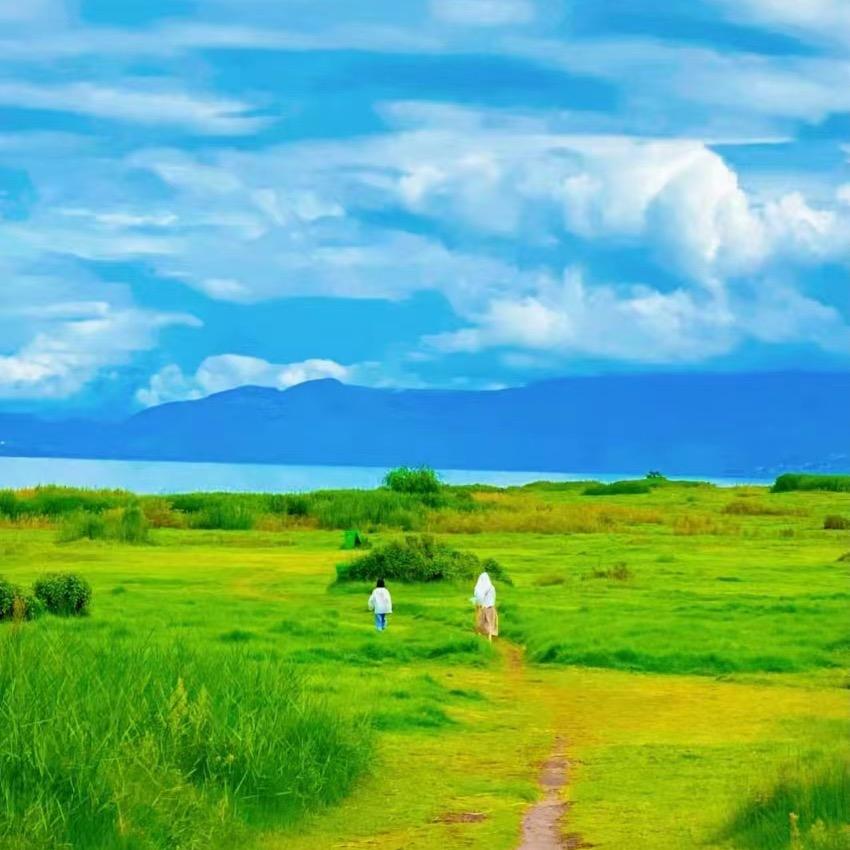 云舒和悦客栈(古城店)官方号