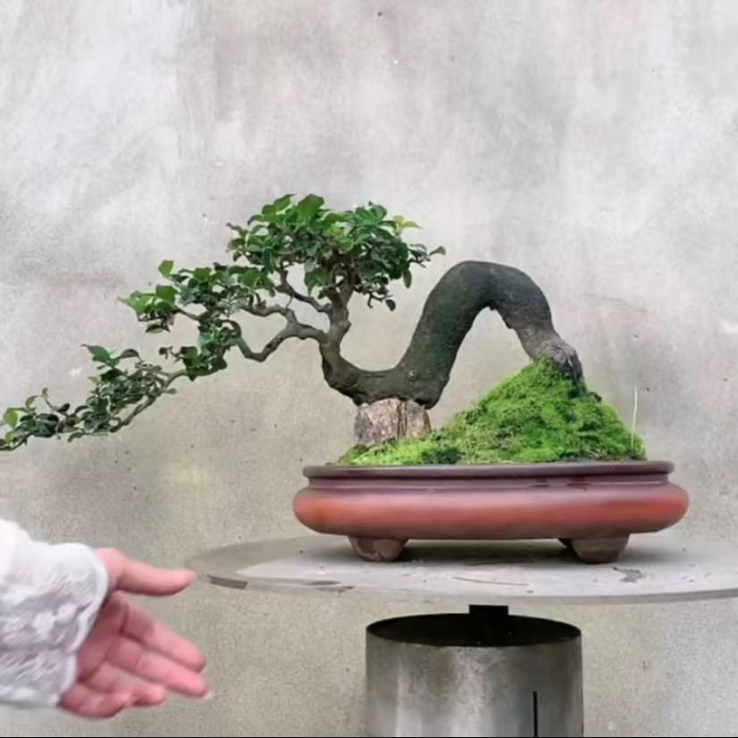 渣渣桩