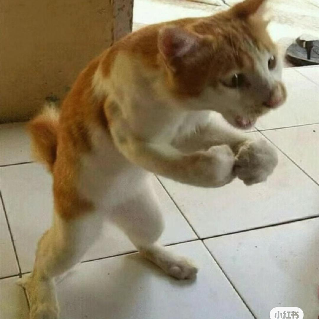 杨桃（五国一边路）