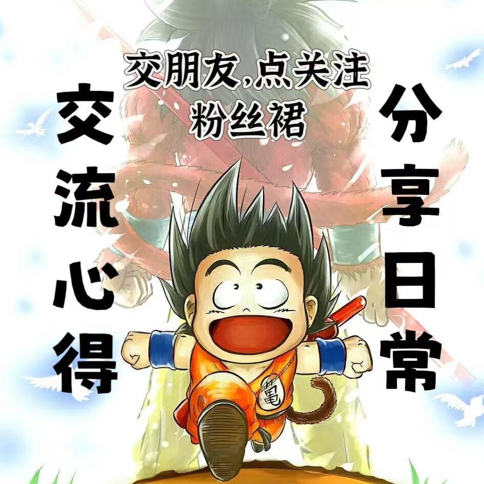 实力玩家