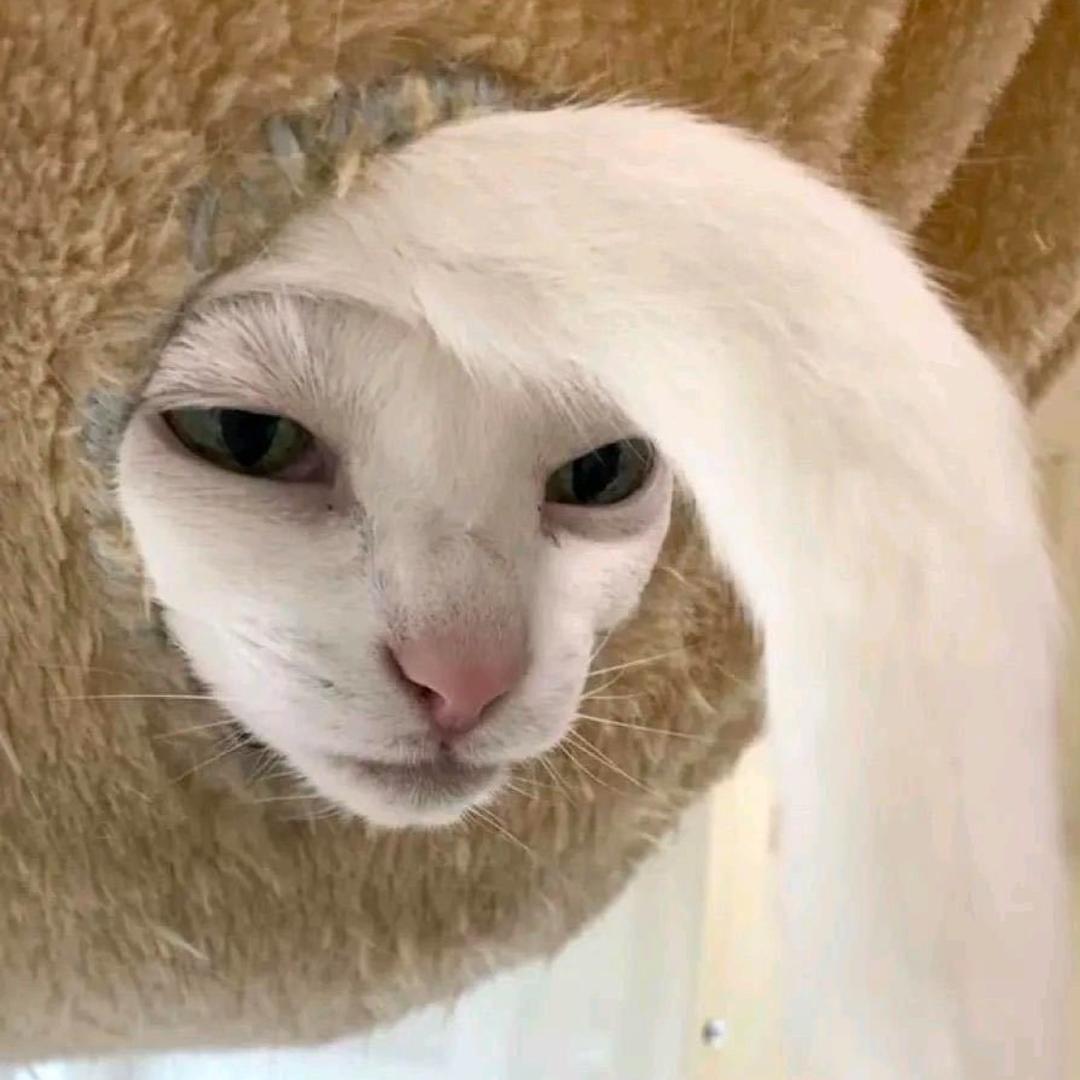 秋
