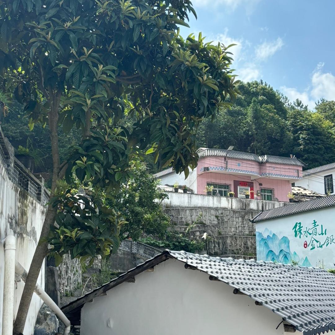 医路粤北，健康方舟突击队