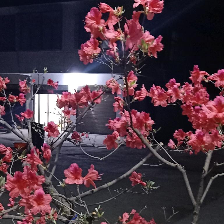 可爱😘