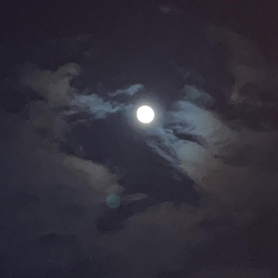 星棠糖实舌专卖店