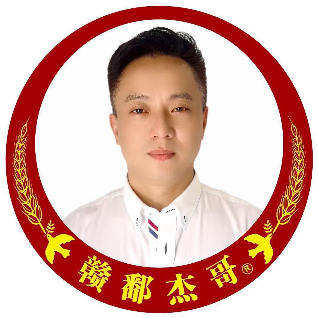 救在当下（保护流浪动物）