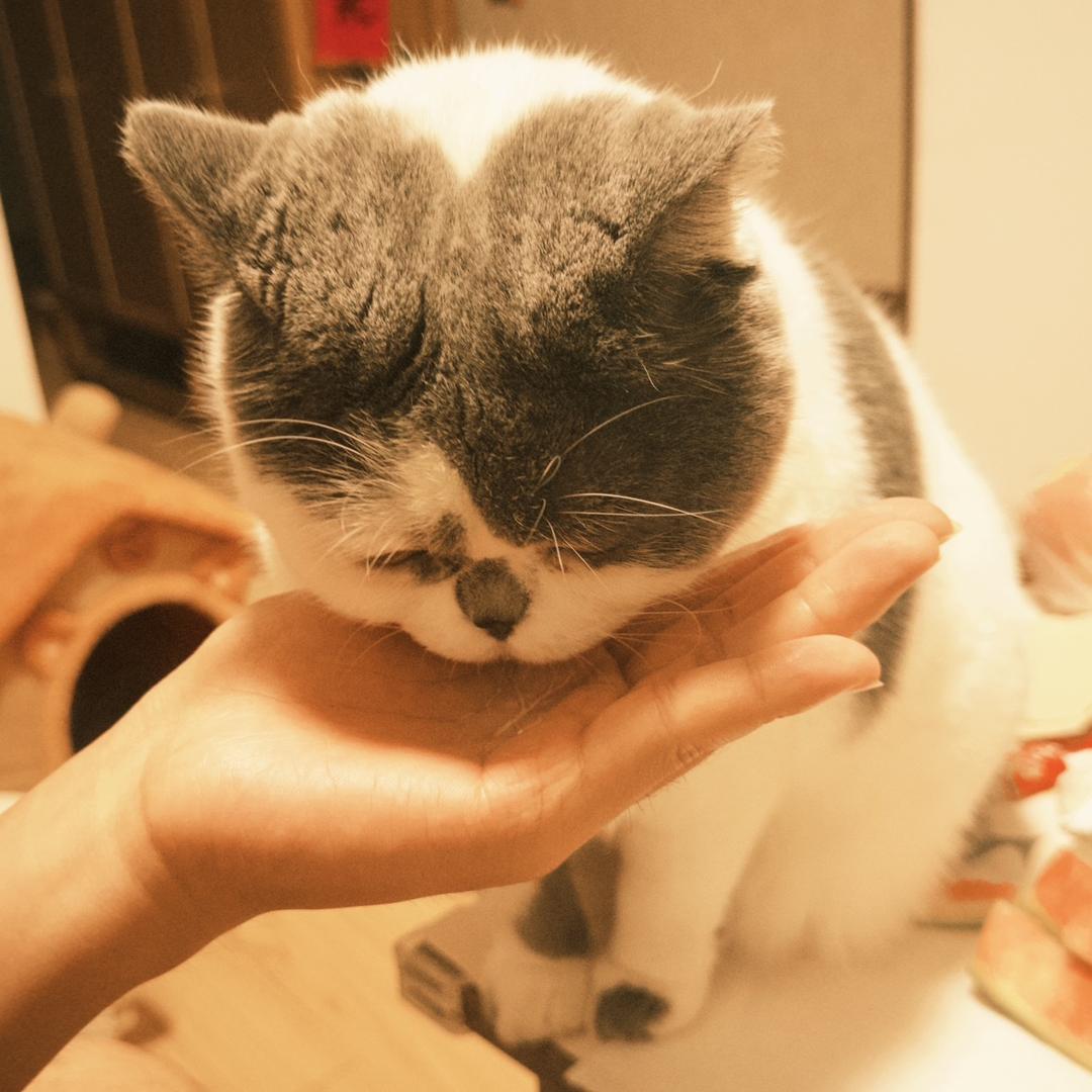 丢失相机的墩墩