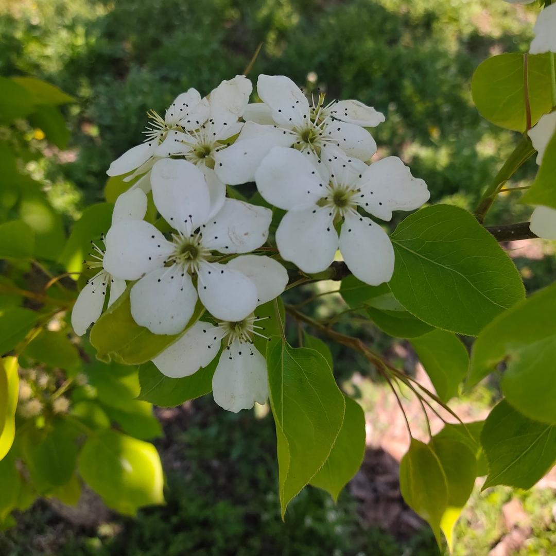 田家维特色小铺子