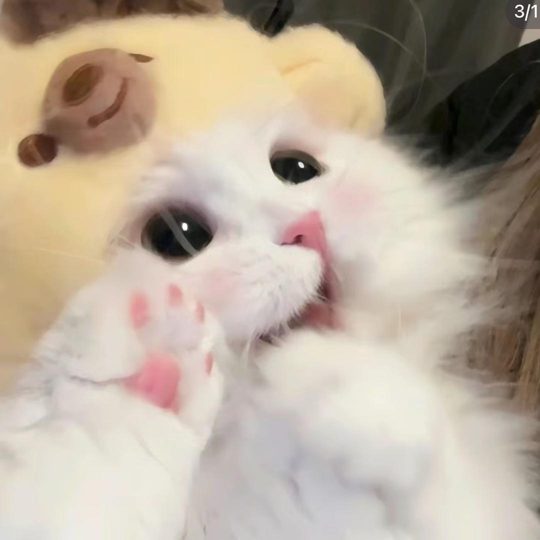 奥特蔓