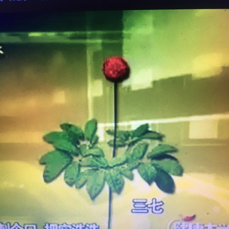 蒸蒸日上。