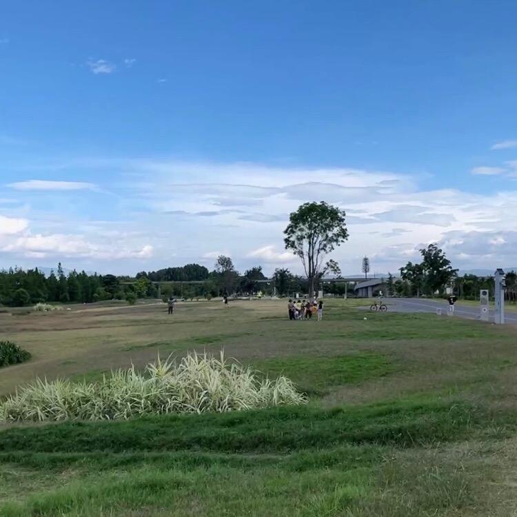 爱豆豆