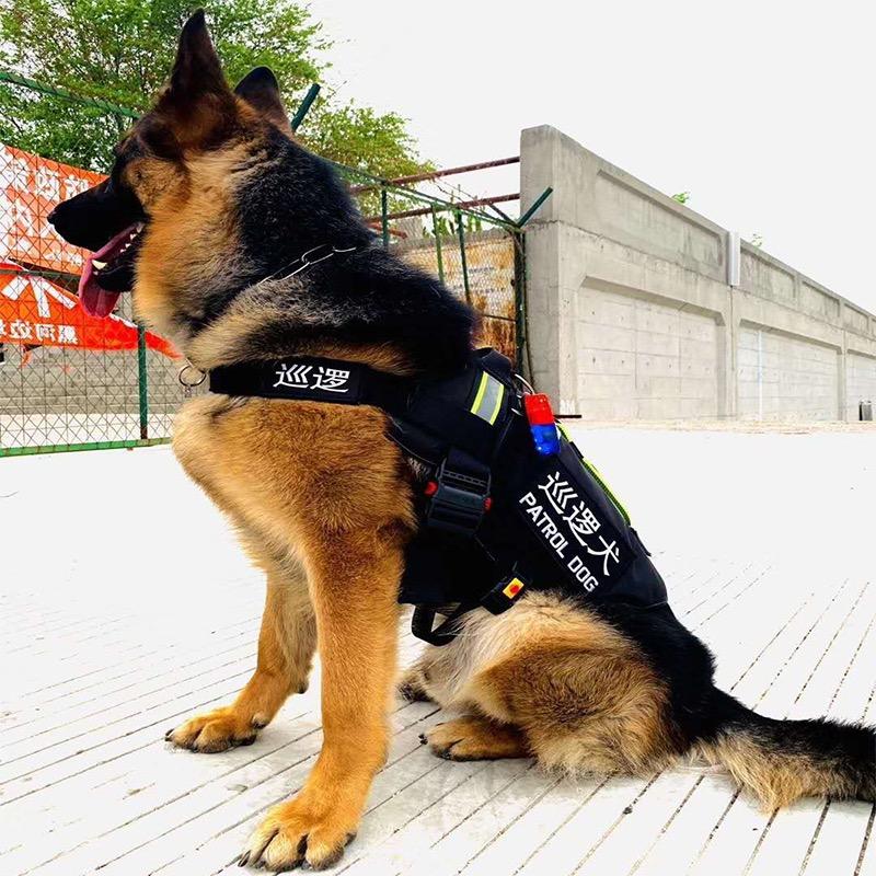 爱多多犬具