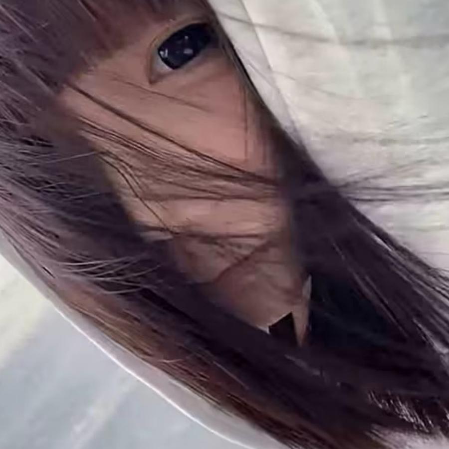 呆呆.