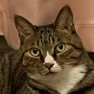 洋葱小子江江江