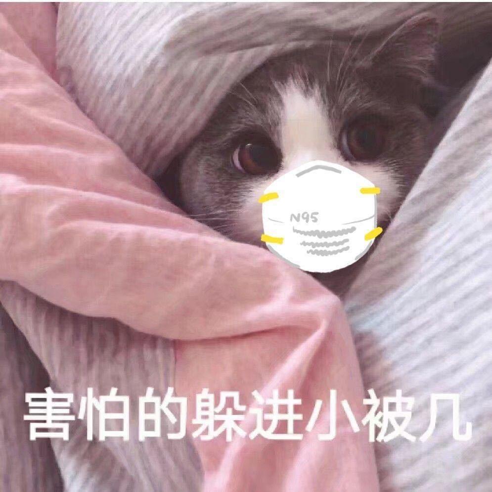 我不认识这技能哦
