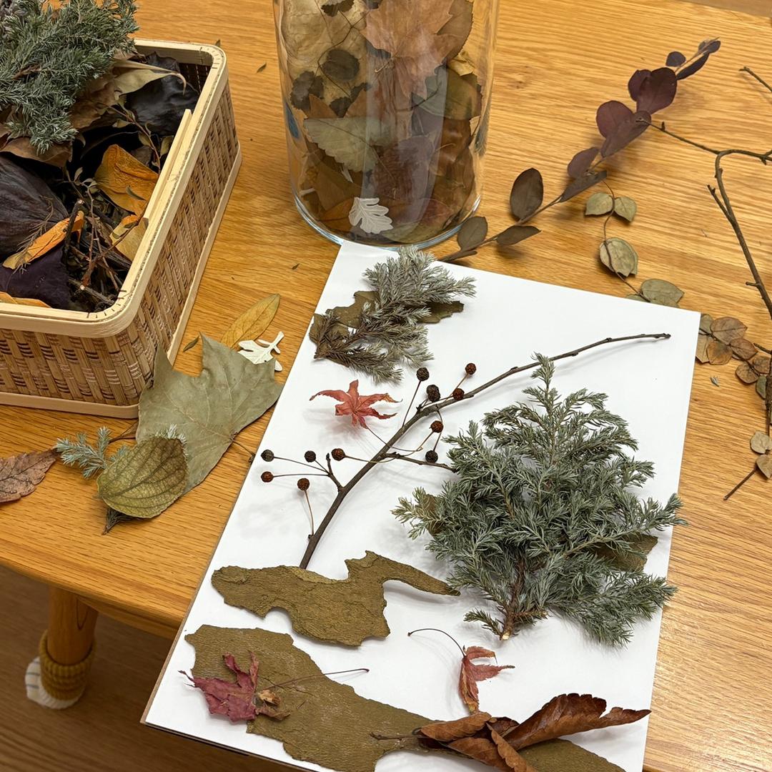 框里的植光🍂