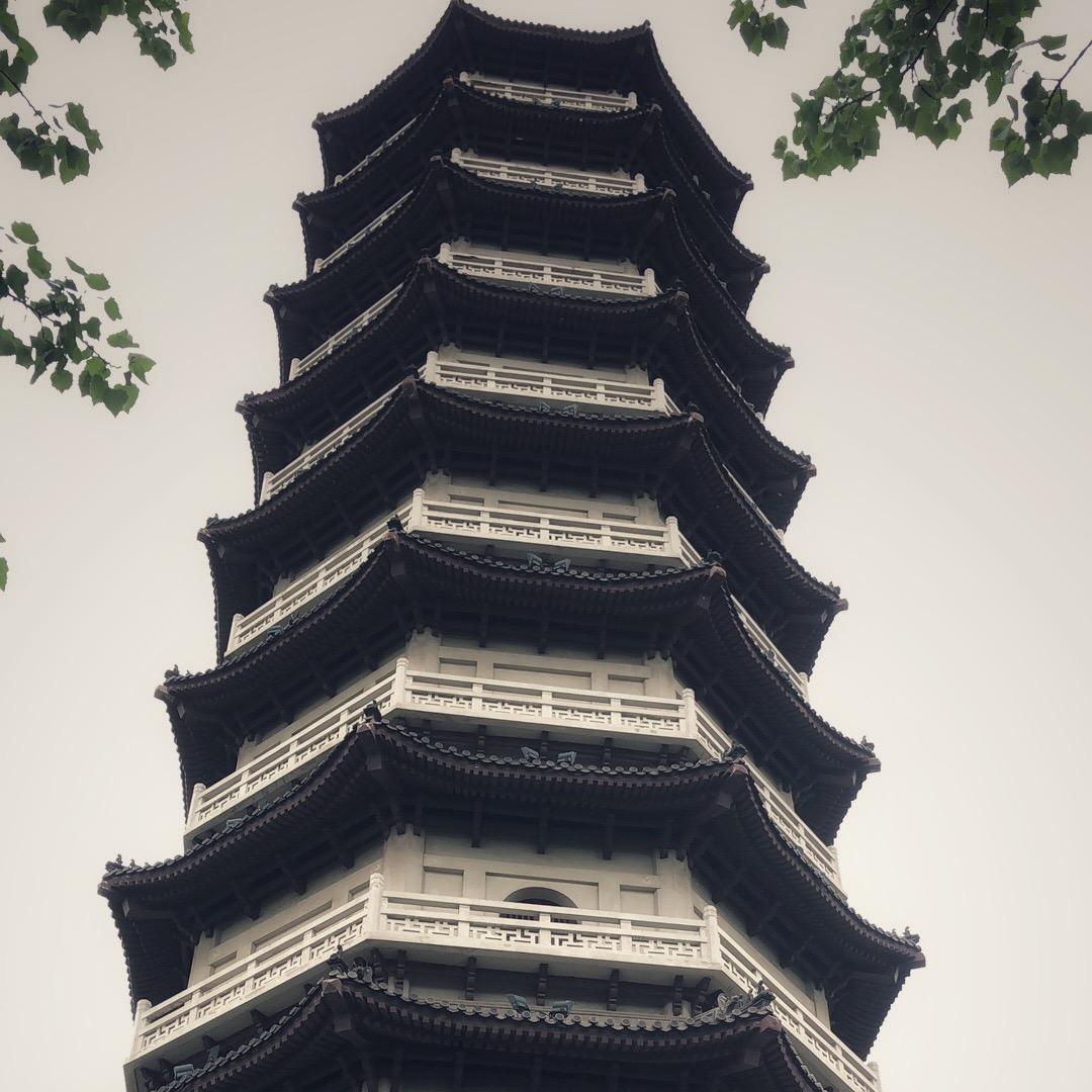 逸尘