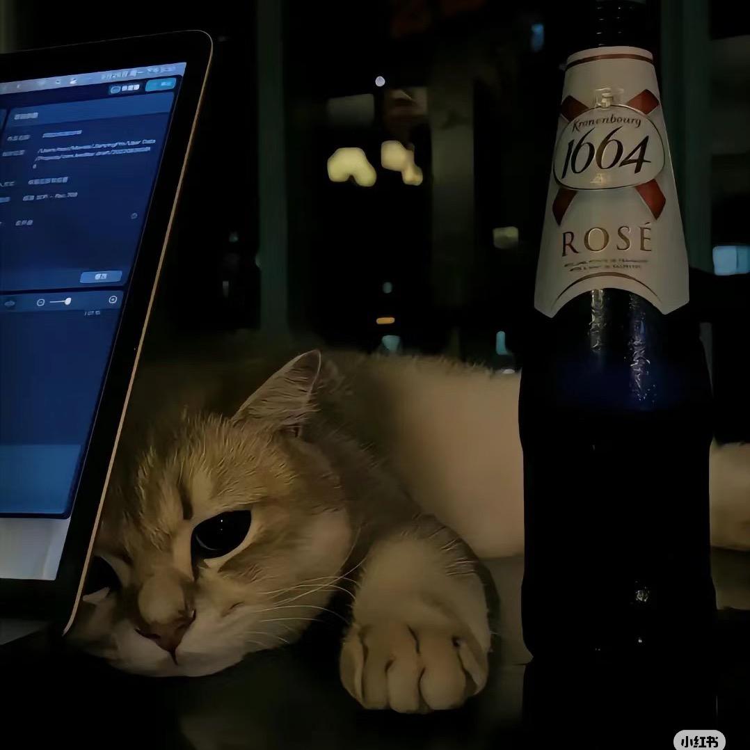 可小狗不会哭《文案馆》