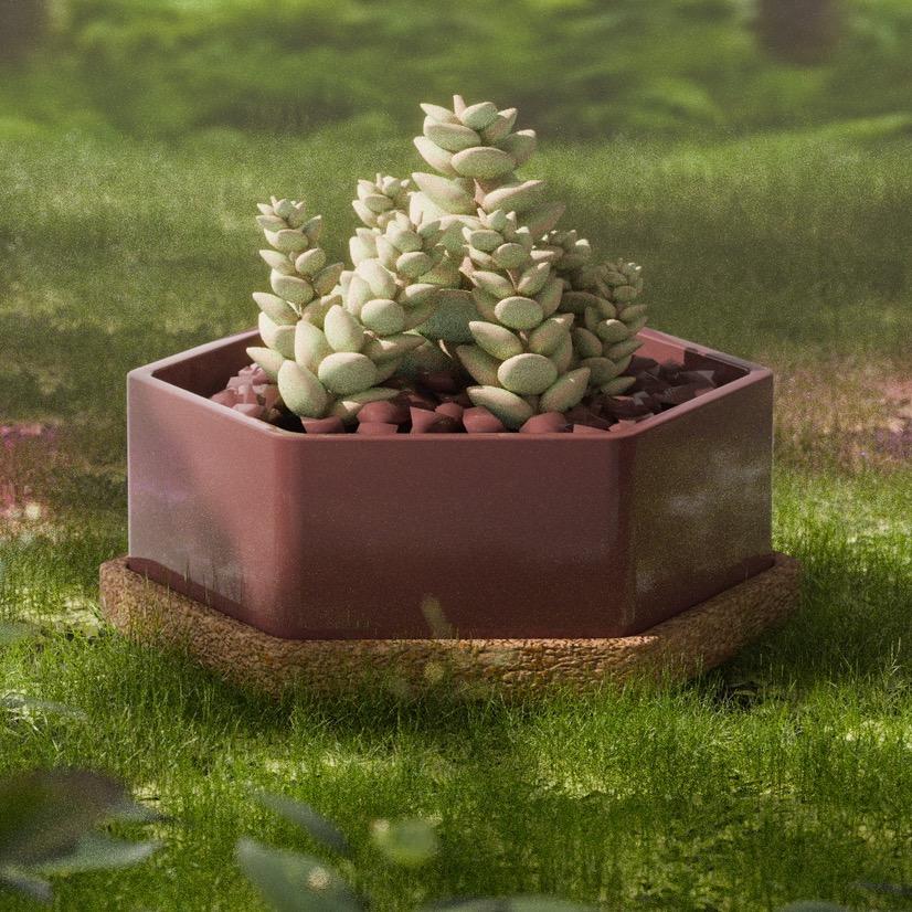 绿城园艺花卉优品店