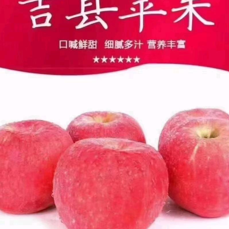 （吉县苹果）信息部