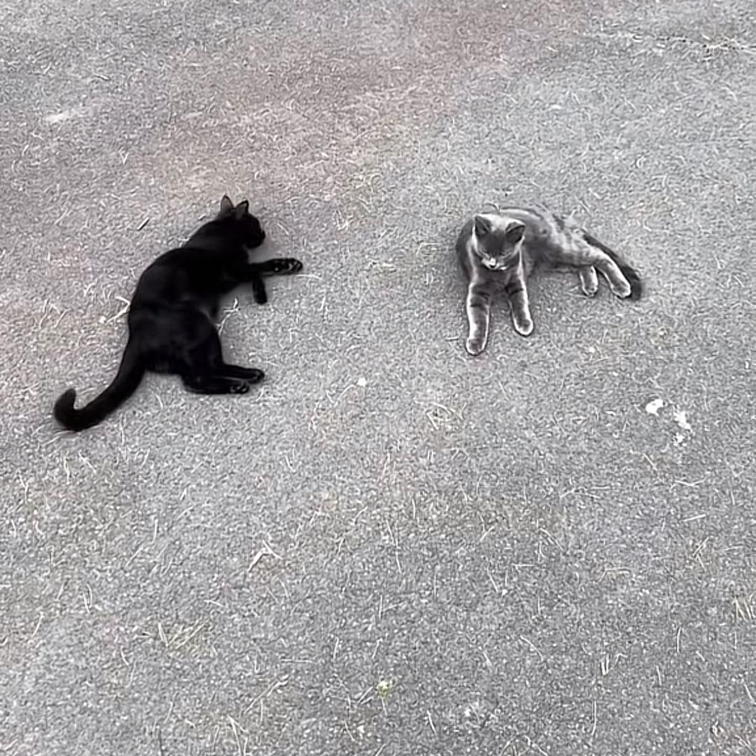 拾贰