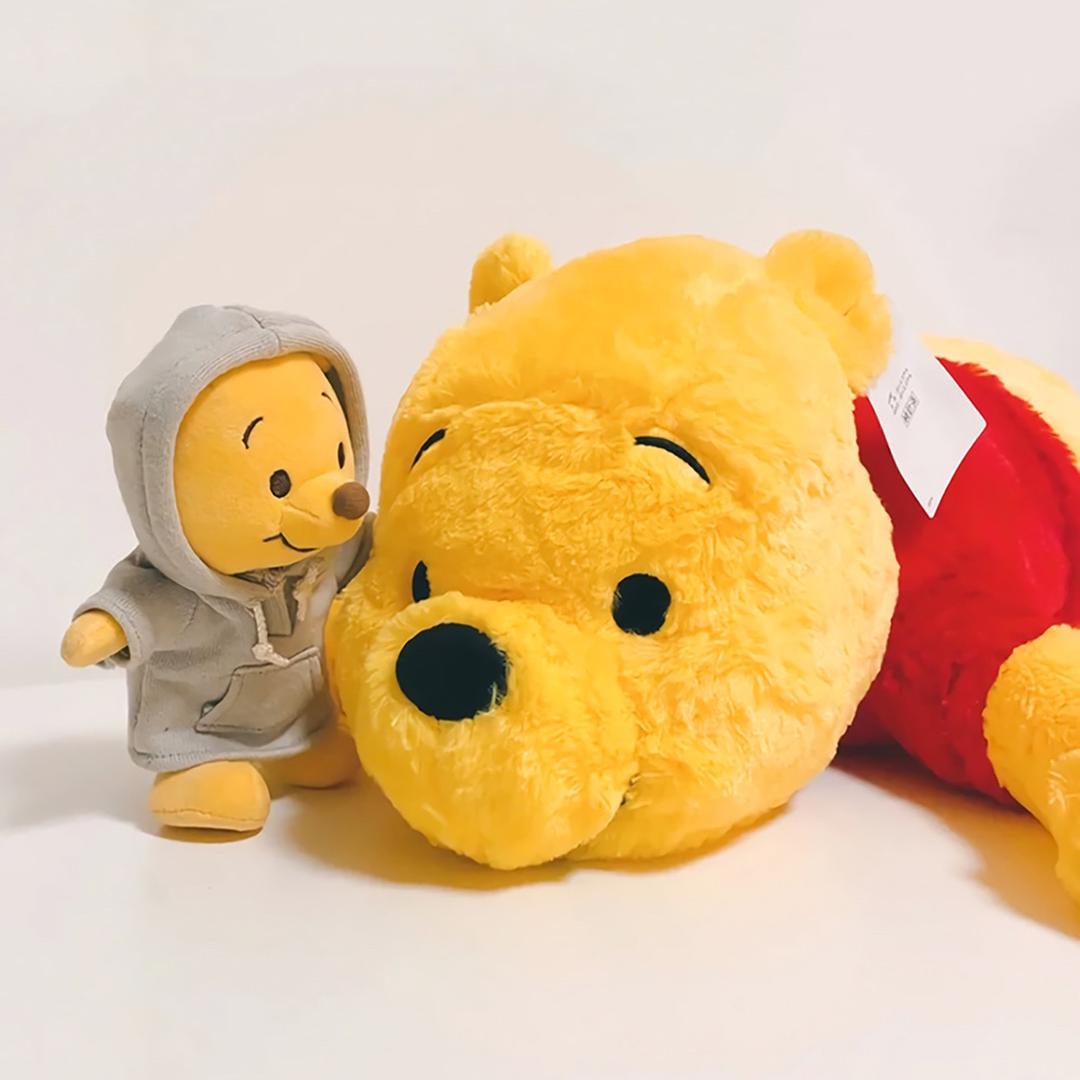 胖胖的成长日记📆