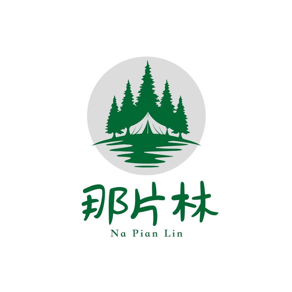 白露山那片林CLUB自然营地